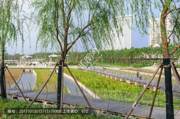 濕地花園