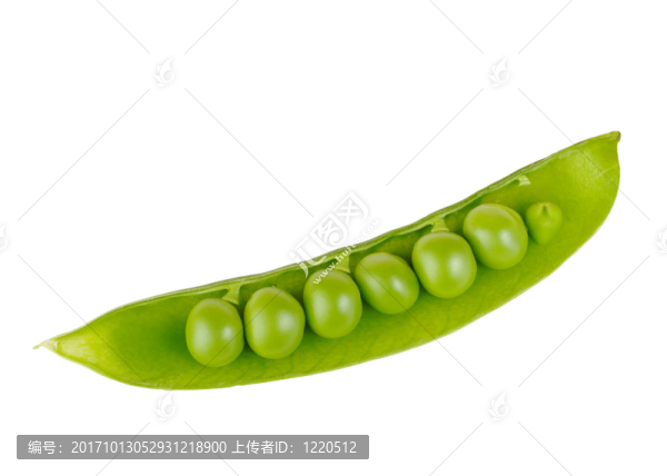 食品