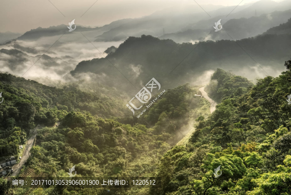 美麗的