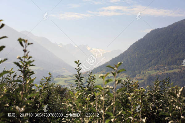 南部蒂羅爾（vinschgau）