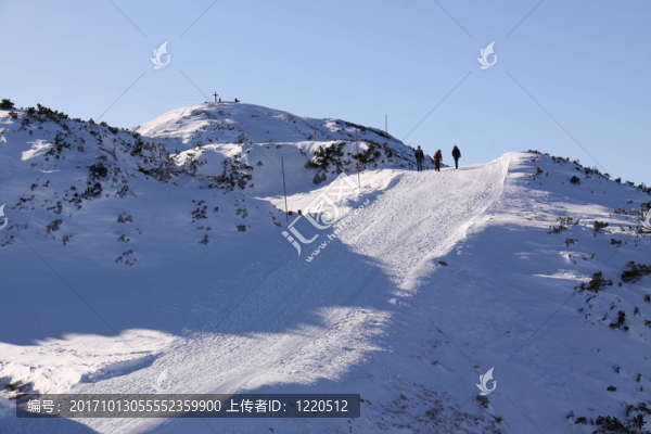 山