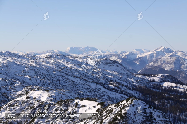 山