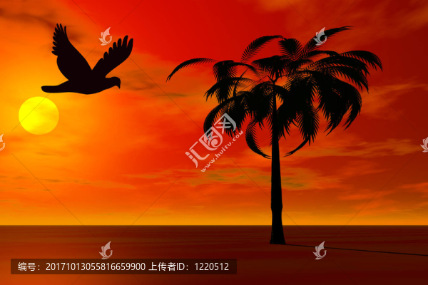 剪影的鴿子