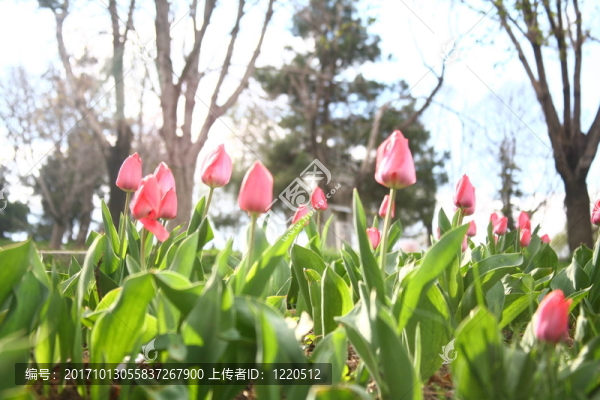 生命還在