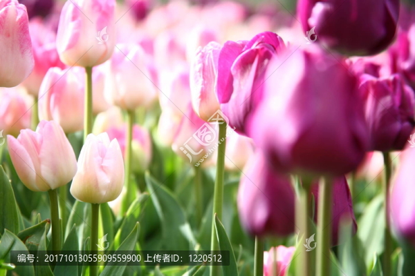 生命還在