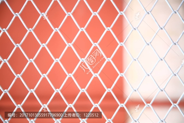 樹