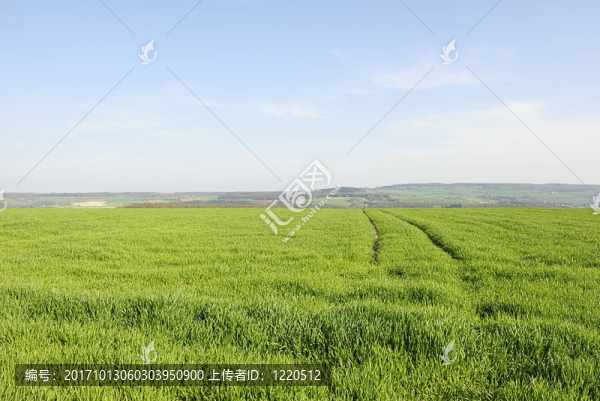 農(nóng)業(yè)