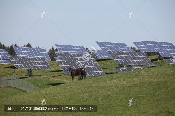 馬