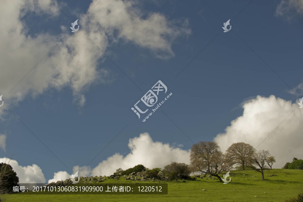 山