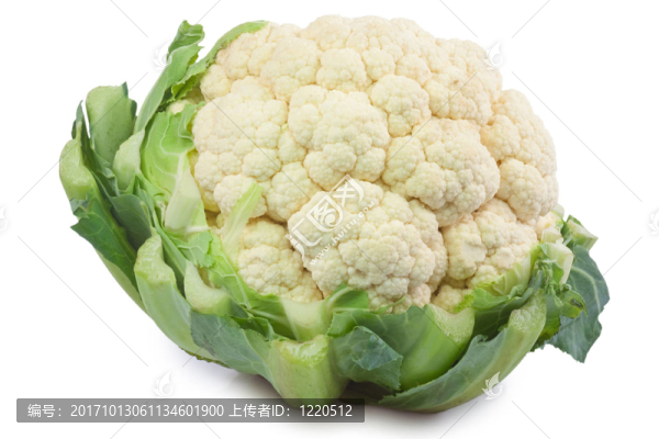 菜花