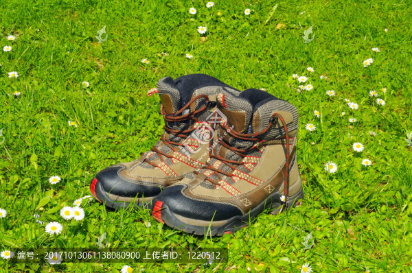 遠(yuǎn)足