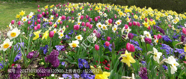 公園