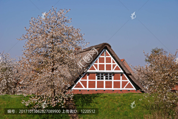 舊國都鐸式住宅