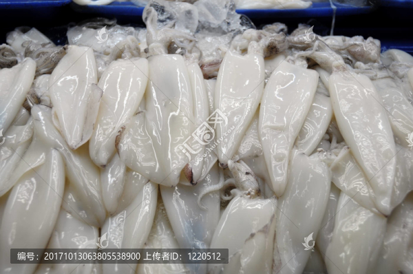 魚