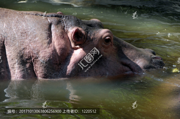 非洲