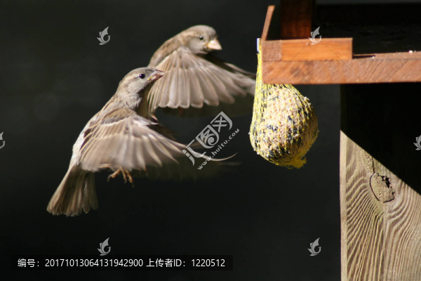 飛行