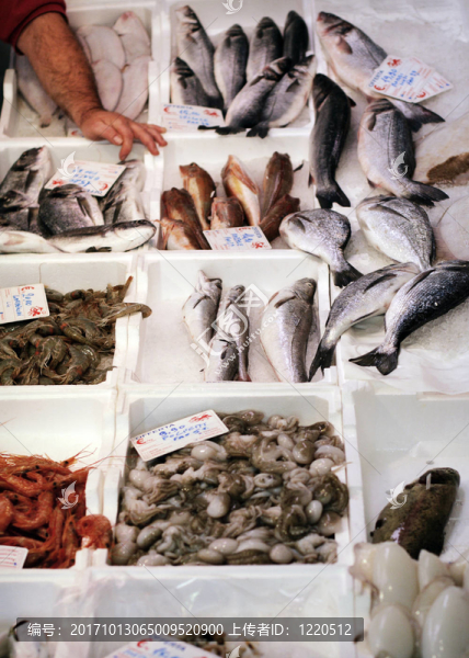 羅馬魚(yú)市場(chǎng)