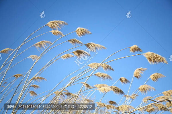 空間