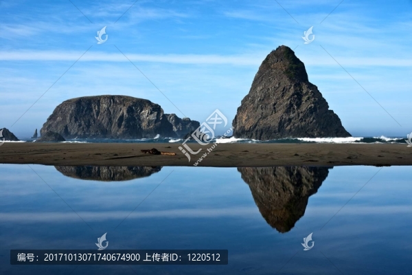 鯨頭鸛的海灘