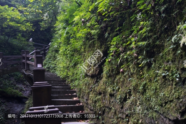 臺階