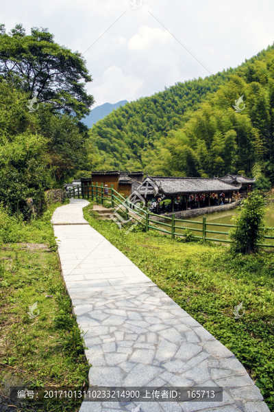 竹林