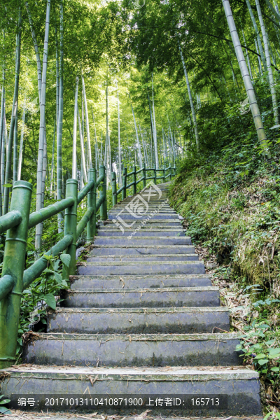 竹林