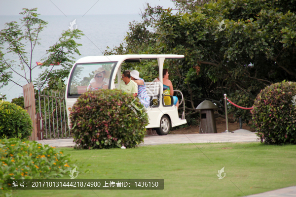 電瓶車觀光,觀光車