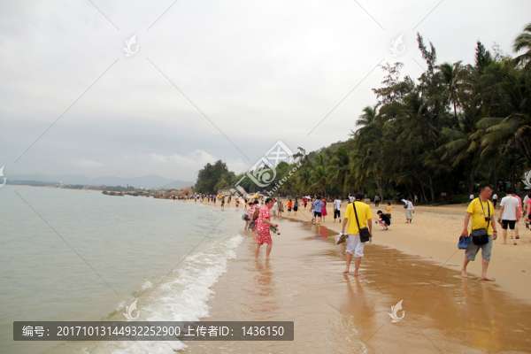 海灘,沙灘