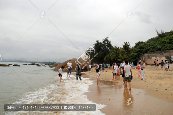 海岸,海灘