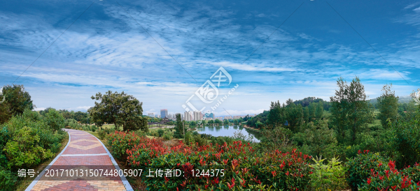 公園一景