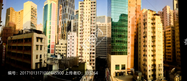 香港,海洋公園,繁華,維港,維