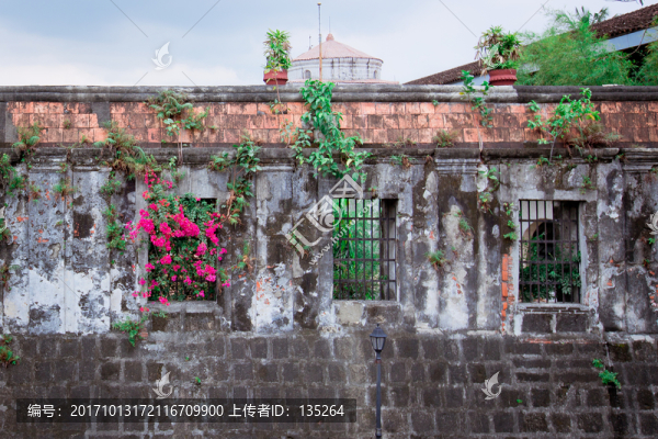 菲律賓,馬尼拉,東南亞,海島