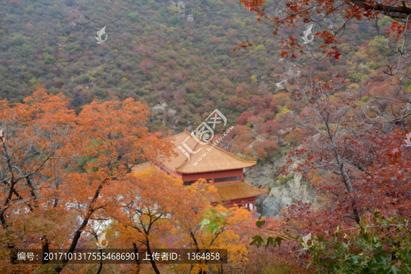 寺廟