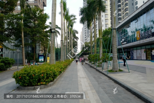 城市景觀,都市,建筑,城市