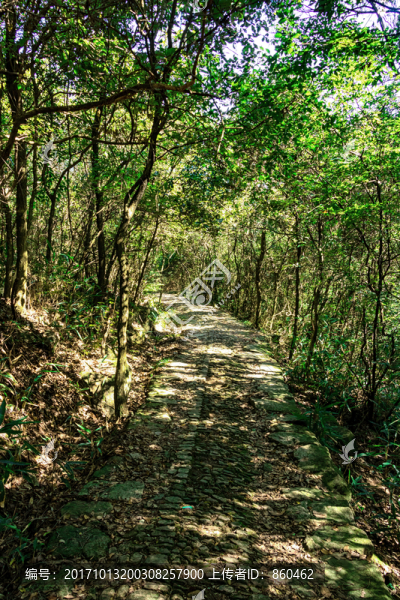 大嵩嶺古道,寧波古道,旅游古道