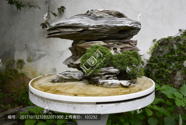 假山盆景