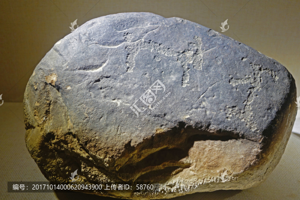 賀蘭山巖畫,動物