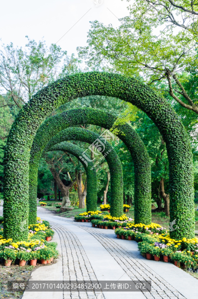 中山植物園景觀