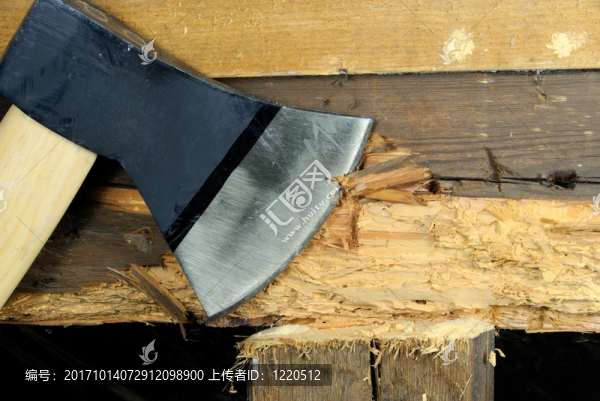 holzwurm,-,woodworm,07