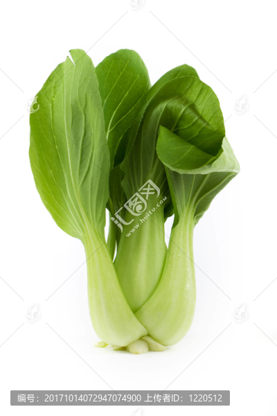 博彩