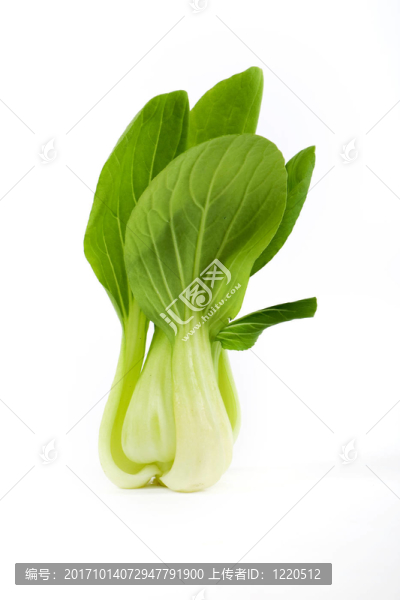 博彩