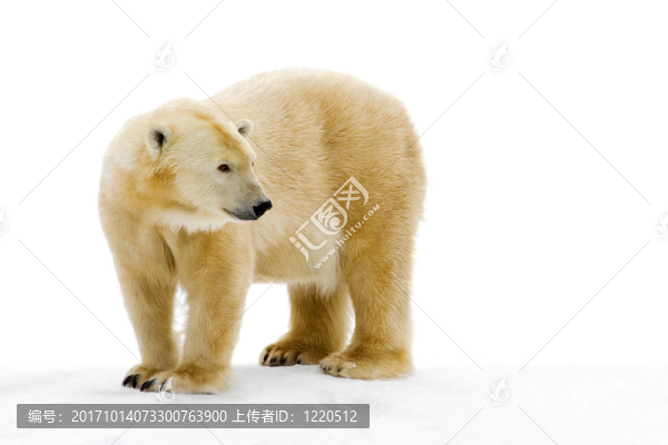 極性1—
