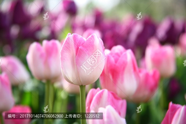 生命還在