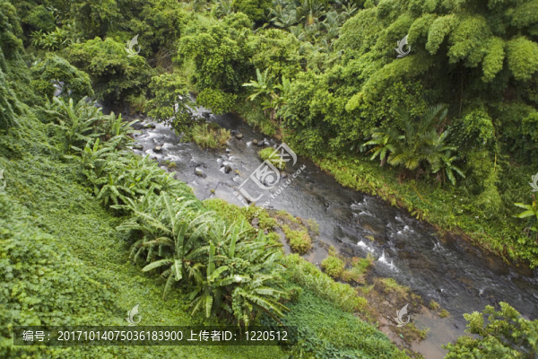 峽谷