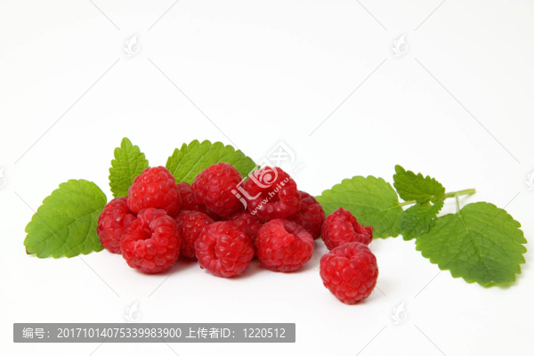 覆盆子