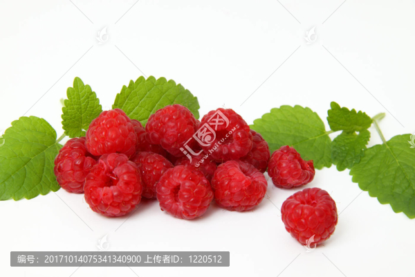 覆盆子