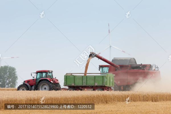 尋求谷物豐收