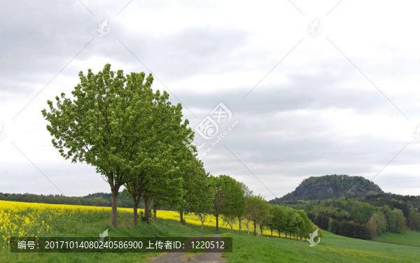 春天的風(fēng)景