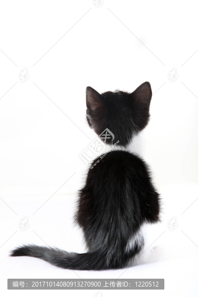 甜的