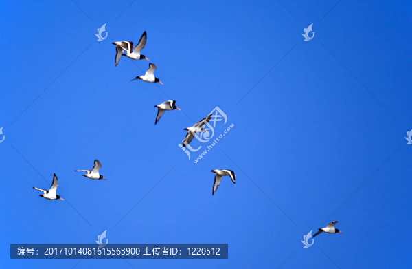 水